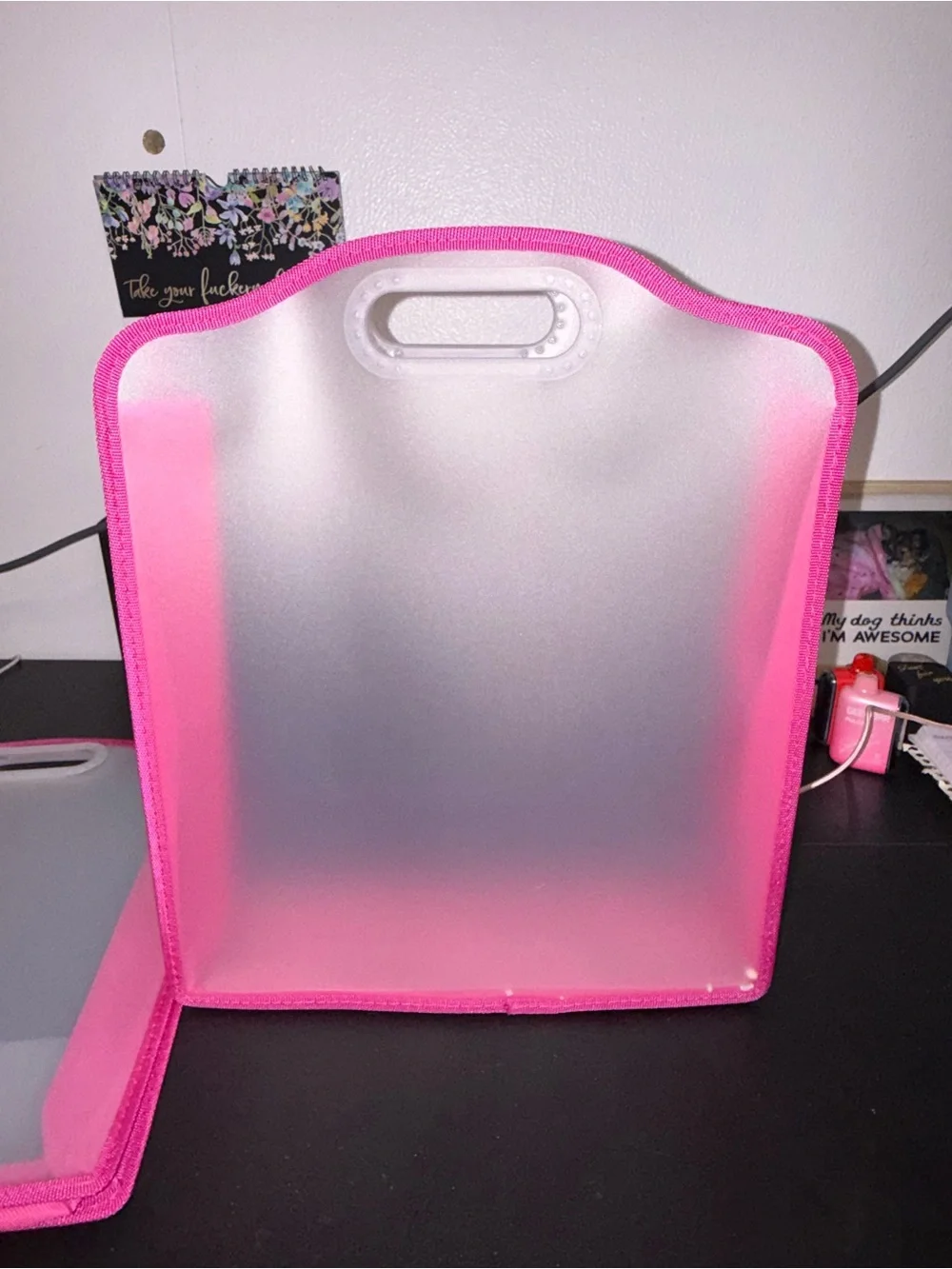 Pink-Trim Clear Tote Organizer with Handle